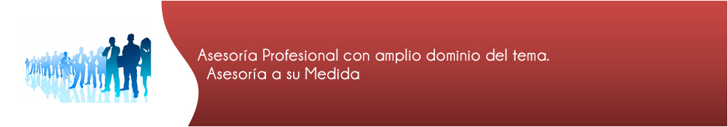 Asesoria Profesional